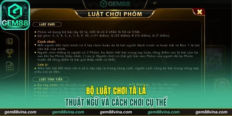 Thuật ngữ và thể lệ chơi bài phỏm cụ thể nhất 